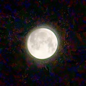 Je sais pas comment (feat. Wacel Vumère & Areuprod)