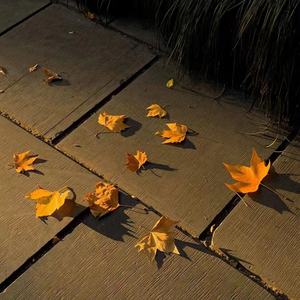 遗憾(遗憾常有吧)