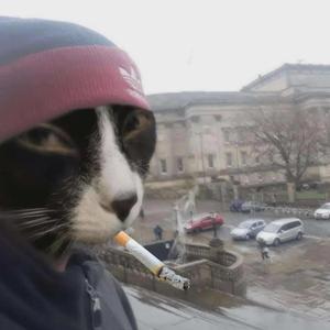 T uz P