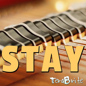 Stay (feat. Amber Abu-Obeid)