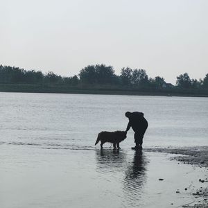 我是一只老麻雀