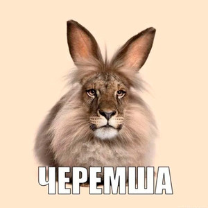 Черемша