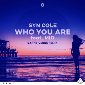 Who You Are (Danny Verde Remix)