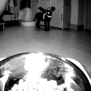 幻痛药（remix）