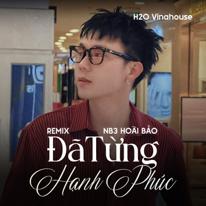 Đã Từng Hạnh Phúc (Remix)
