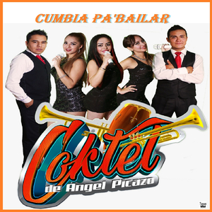Conga y Timbal