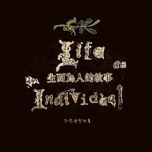 寂寞的人都养了一只猫