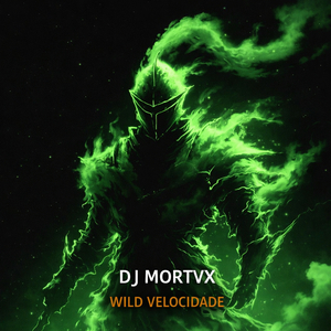 Wild Velocidade