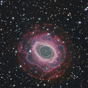 于你而言我只是一颗星星