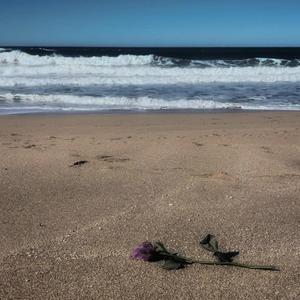 Tidal Rites