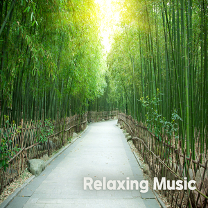 숲길을 거닐며 (새소리+바람소리)