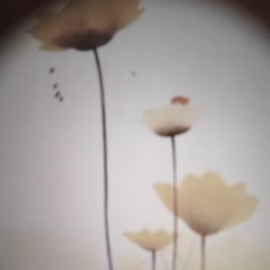 如果这是结局 我宁愿没相遇