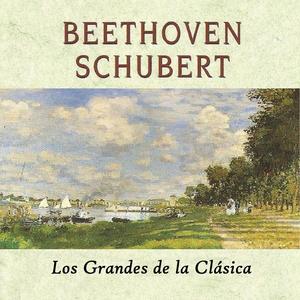 Symphony No. 8, D. 759 (Unfinished): I. Allegro moderato