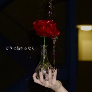 どうせ枯れるなら