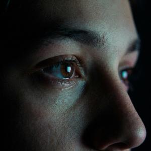 ประวัติการค้นหา