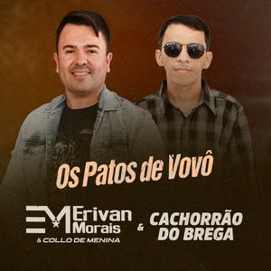 Os Patos de Vovô