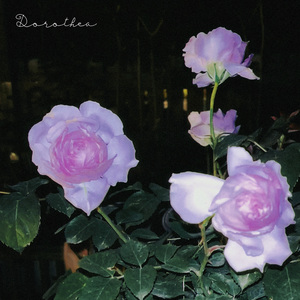 Blue of Violets, Red of Roses