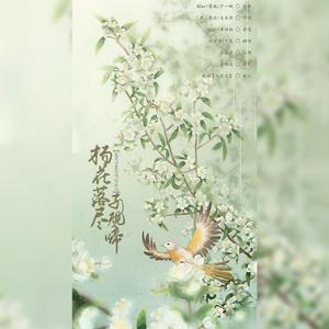 杨花落尽子规啼（翻自 国风堂）