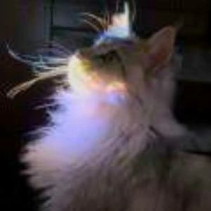 旧物中的回忆_26-03-25_12-18-27-925