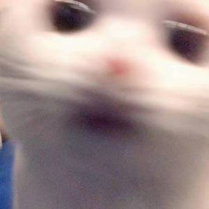 青合