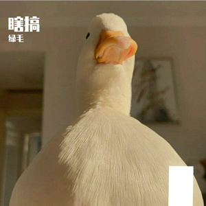 那么骄傲_周玥_1624694428884