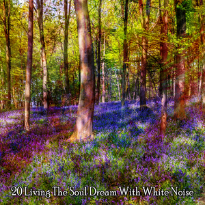 失眠破壞白噪聲