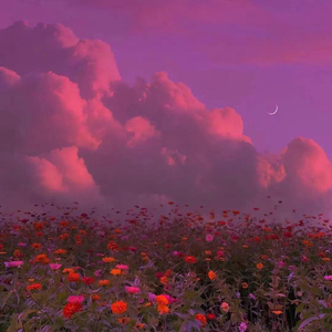 阿拉斯加海湾（纯音乐）