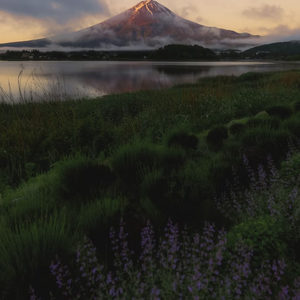 因为你,我热爱每个平凡星期一