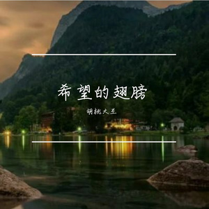 希望的翅膀