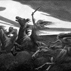 An Ambivalent Desire