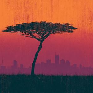 Johannesburg Dusk