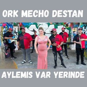 Aylemis var Yerinde