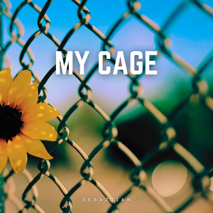 My Cage