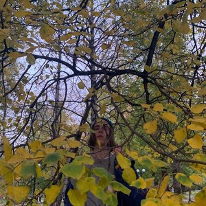 Подожги и отдыхай