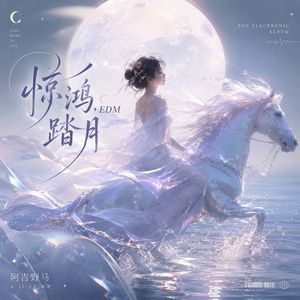 惊鸿踏月EDM