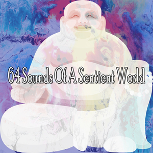 Accumulate Wisdom
