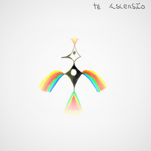 Onde O Céu Toca a Terra