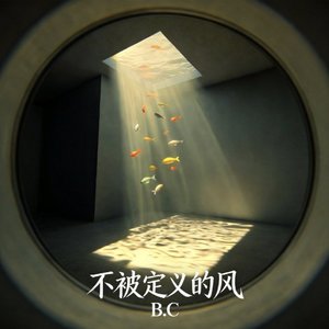不被定义的风