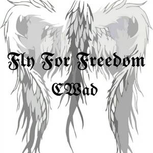 Fly for Freedom（飞出宇宙）