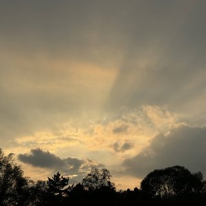 你在我掌心写满告别