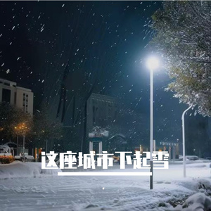 这座城市下起雪