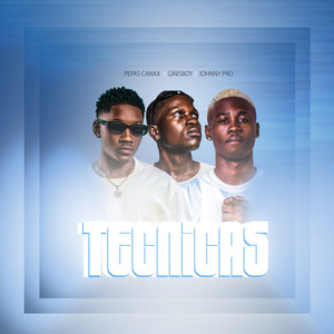 Tecnicas