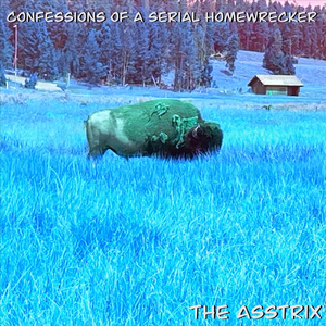 Confessions of a Serial Homewrecker