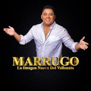 Me Ilusione (No podran separarnos 4 rosas Volvio el amor)
