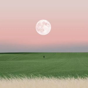 后来我们的爱-pro