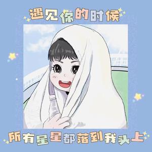 遇见你所有星星都落到我头上 DOCS版（cover高姗）