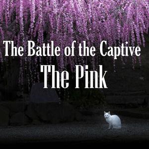 Curtain for a Killing