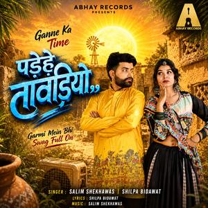 Pade Tawadiyo (feat. Salim Sekhawas & Shilpa bidawat)