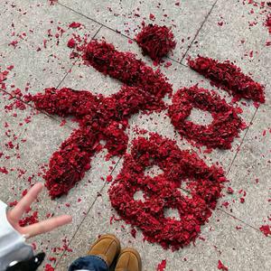 萧炎进行曲（大合集）