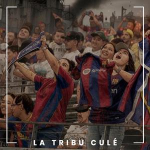 Por mis colores blaugranas